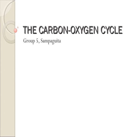 Carbon-Oxygen Cycle