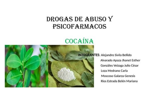 COCAINA GRUPO 1 MEDICINA LEGAL PRESENTACIÓN FINAL