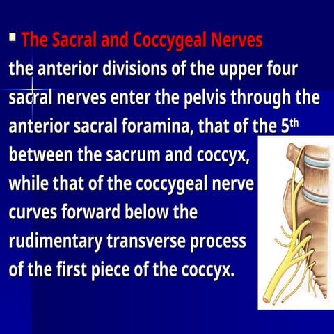 coccg.nn..ppt bhbhbhbhbhbhb njnjnjnjnjnigk