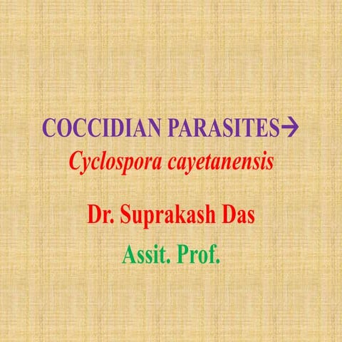 Coccidian parasites -Cyclospora cayetanensis
