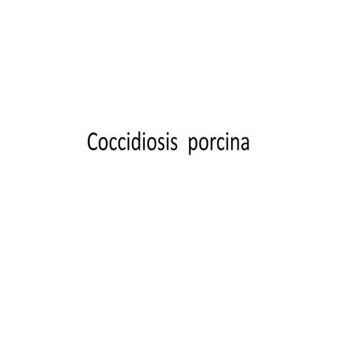 Coccidiosis  porcina