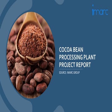 Cocoa Bean Processing Plant Project Report.pptx
