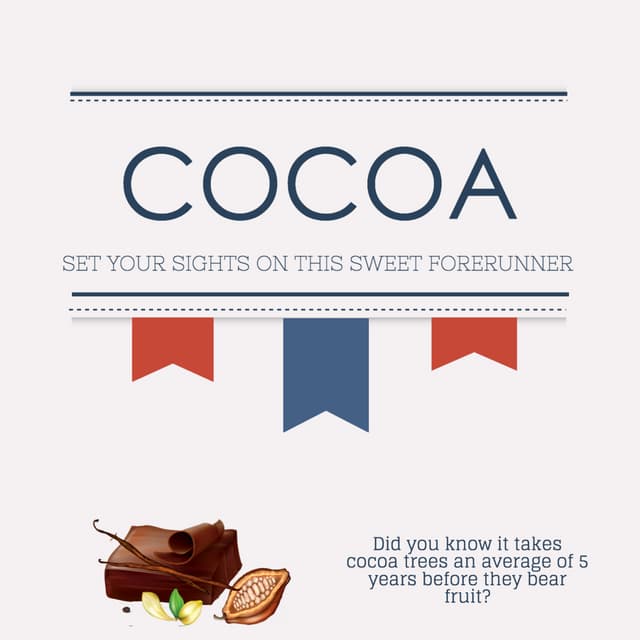 Vote For Cocoa [INFOGRAPHIC]
