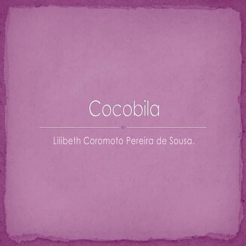 Cocobila
