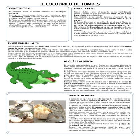 Cocodrilo de tumbes