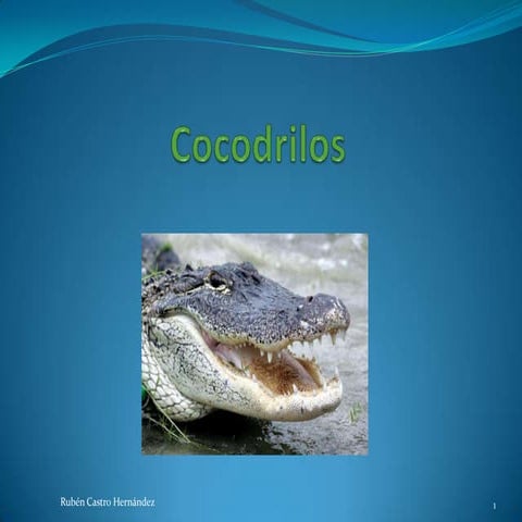 Cocodrilos