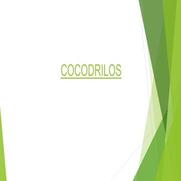 Cocodrilos