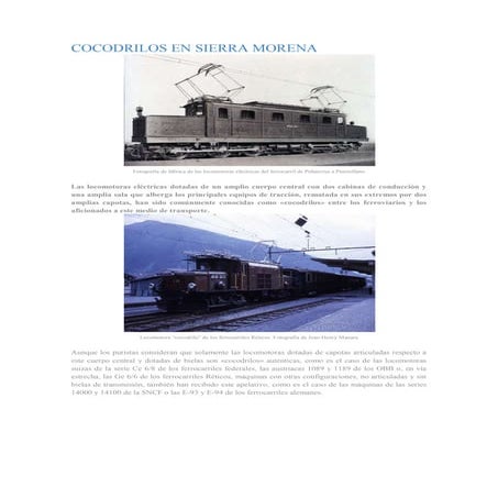 Cocodrilos en sierra morena autor desconocido 