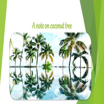 a-note-on-coconut-tree-ppt