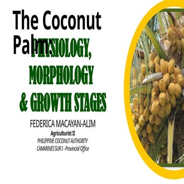 5-Different-Growth-Stages-of-Coconut.pptx