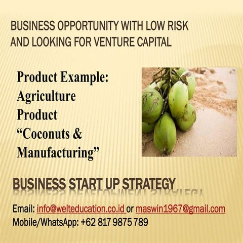 Coconut project looking for Co-Founder as the Investor