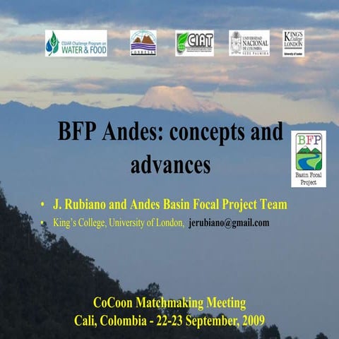 Andes BFP