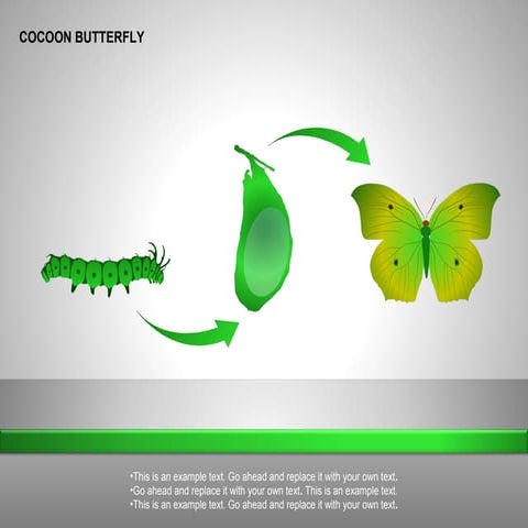 Cocoon Butterfly Diagram for PowerPoint