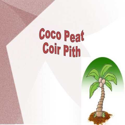 About Coco Peat & Coir Pith