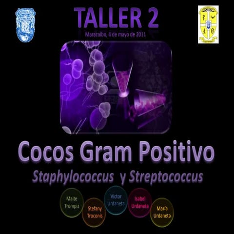 Cocos gram positivos