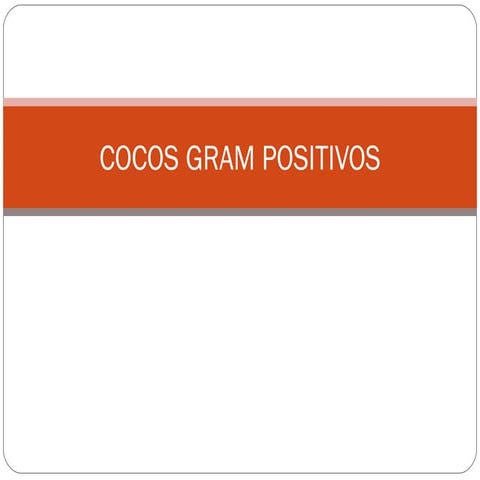Cocos gram positivos