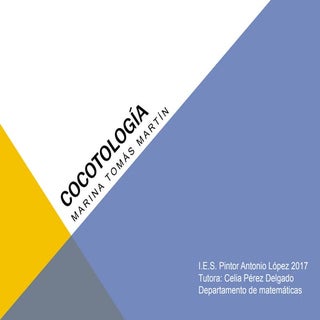 Cocotología: las posibilidades de l...