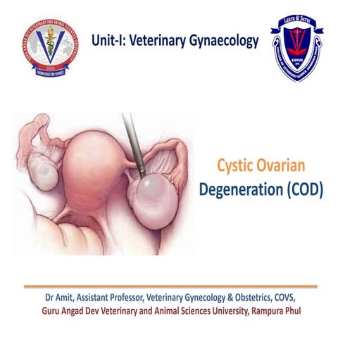 COD cystic ovarian disease veterinary .pdf