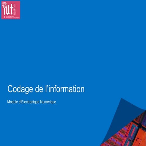 Codage de l'information | PDF