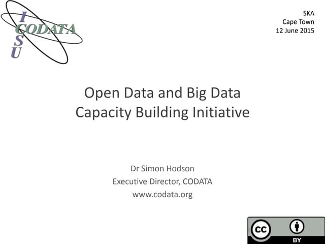 Open Data and Big Data Capacity Building Initiative