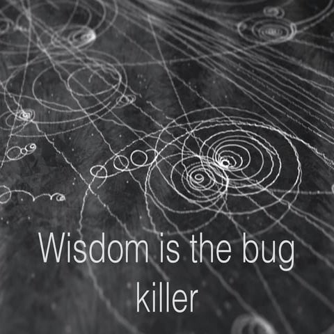 Wisdom is the bug killer