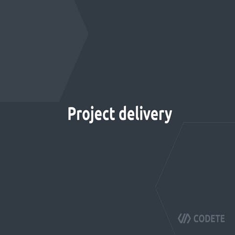 Project Delivery | PDF