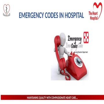 Comprehensive Guide to Hospital Emergency Codes and Response Protocols ...