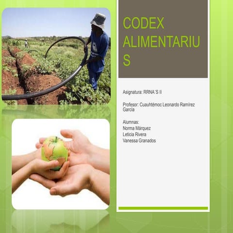 Codex Alimentarius
