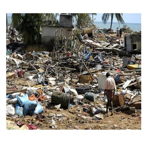 Codex.pptx.pdf................................................