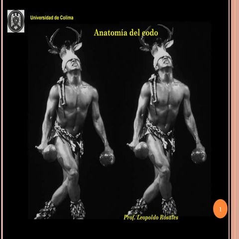 Anatomía de codo | PPTX