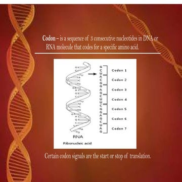 codon-and-amino-acid-presentatiooon.pptx