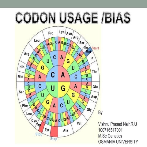 Codon usage/bias
