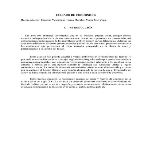 CRIANZA DE CODORNICES