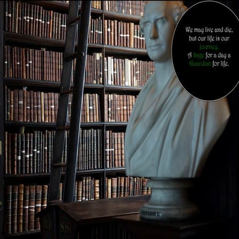 Cody Javorek Professional Persona Project