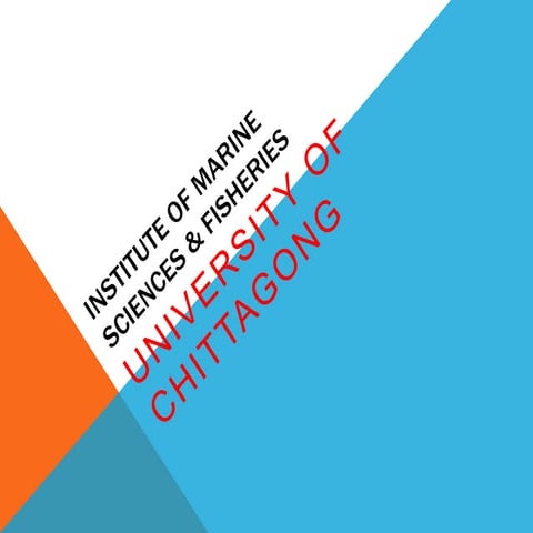 Phylum Coelenterata Clear Concept