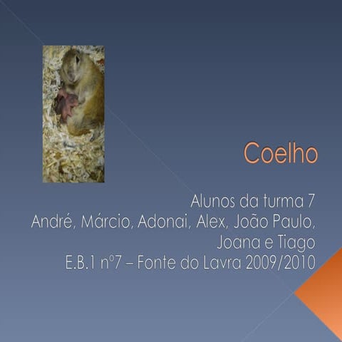 Coelho