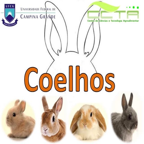Zootecnia Geral - Coelhos