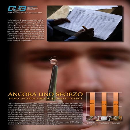 Coe rapporto novembre 2014