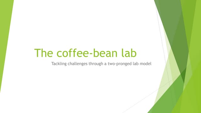 Coffee bean model