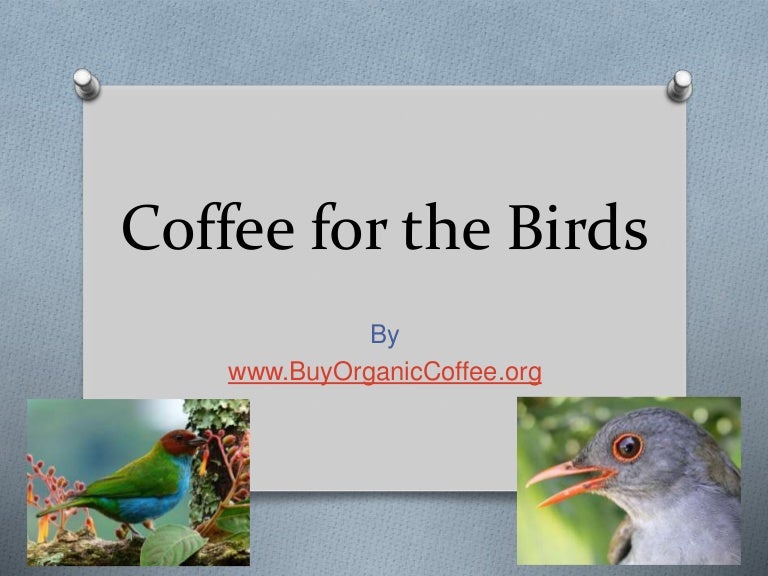 Coffee for the Birds