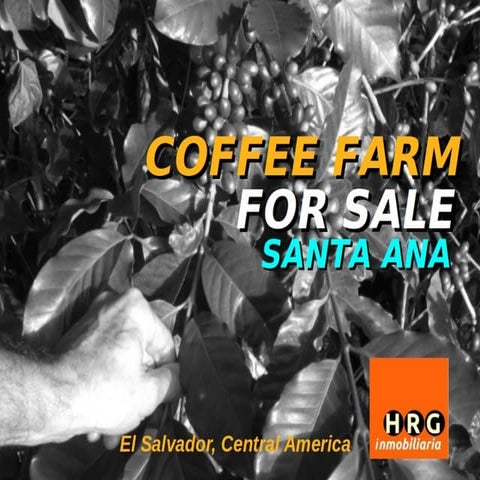 COFFEE FARM FOR SALE / FINCA DE CAFE EN VENTA - SANTA ANA - EL SALVADOR