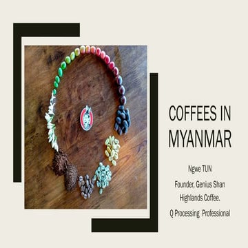 Coffee in Myanmar and How Genius Shan Highlands play the role.