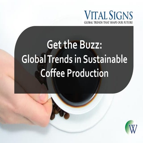 Get the Buzz: Global Trends in Sustainable Coffee Production