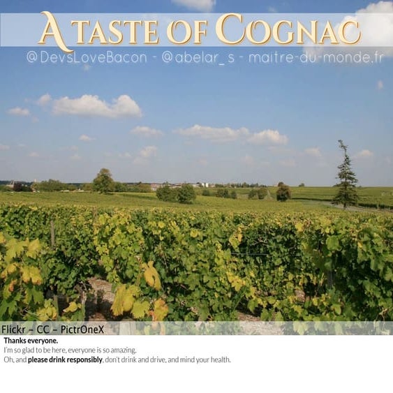 A taste of Cognac