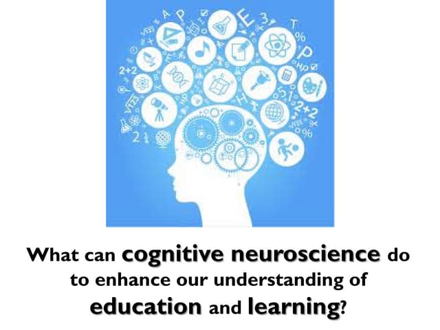 What can cognitive neuroscience do to enhance our understanding of education ...
