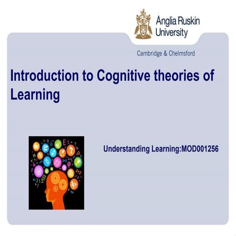 Cognitive-approaches-to-learning-powerpoint.ppt