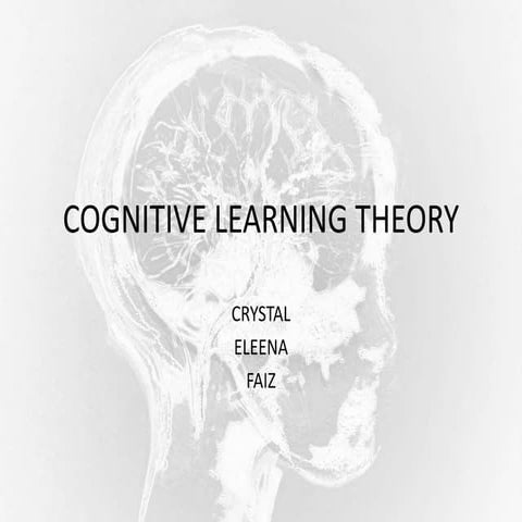 Cognitive Learning Theory