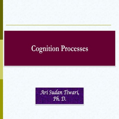 Cognitive Processes