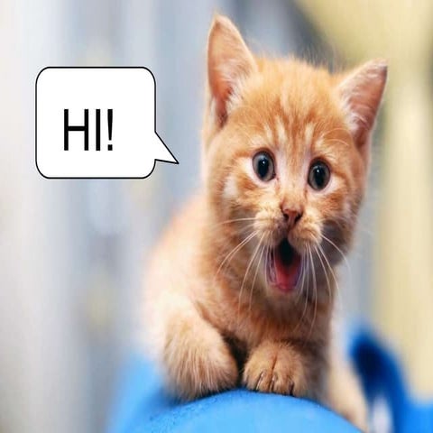 Cognitive psychology report