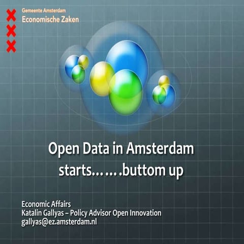 Cognitives cities Talk in Amsterdam 30 June 2011